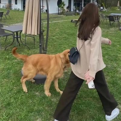 巴黎妓院回忆录